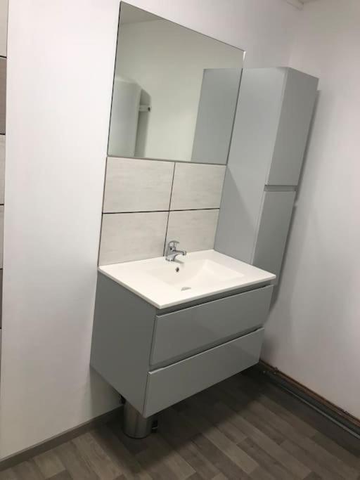 Le P'tit Bragard Apartment Saint-Dizier